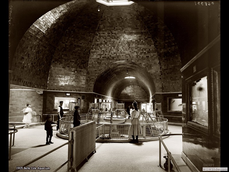 Belle Isle Aquarium